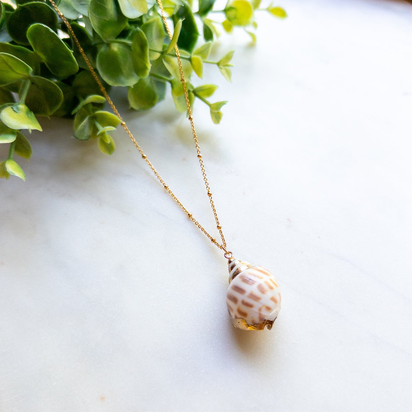 Seaside Treasure Shell Necklace