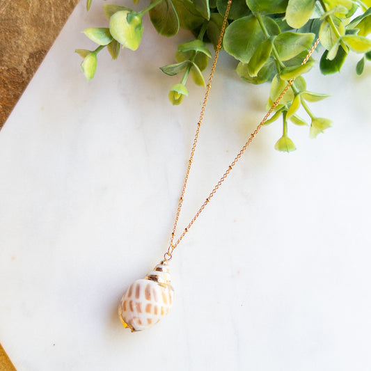 Seaside Treasure Shell Necklace